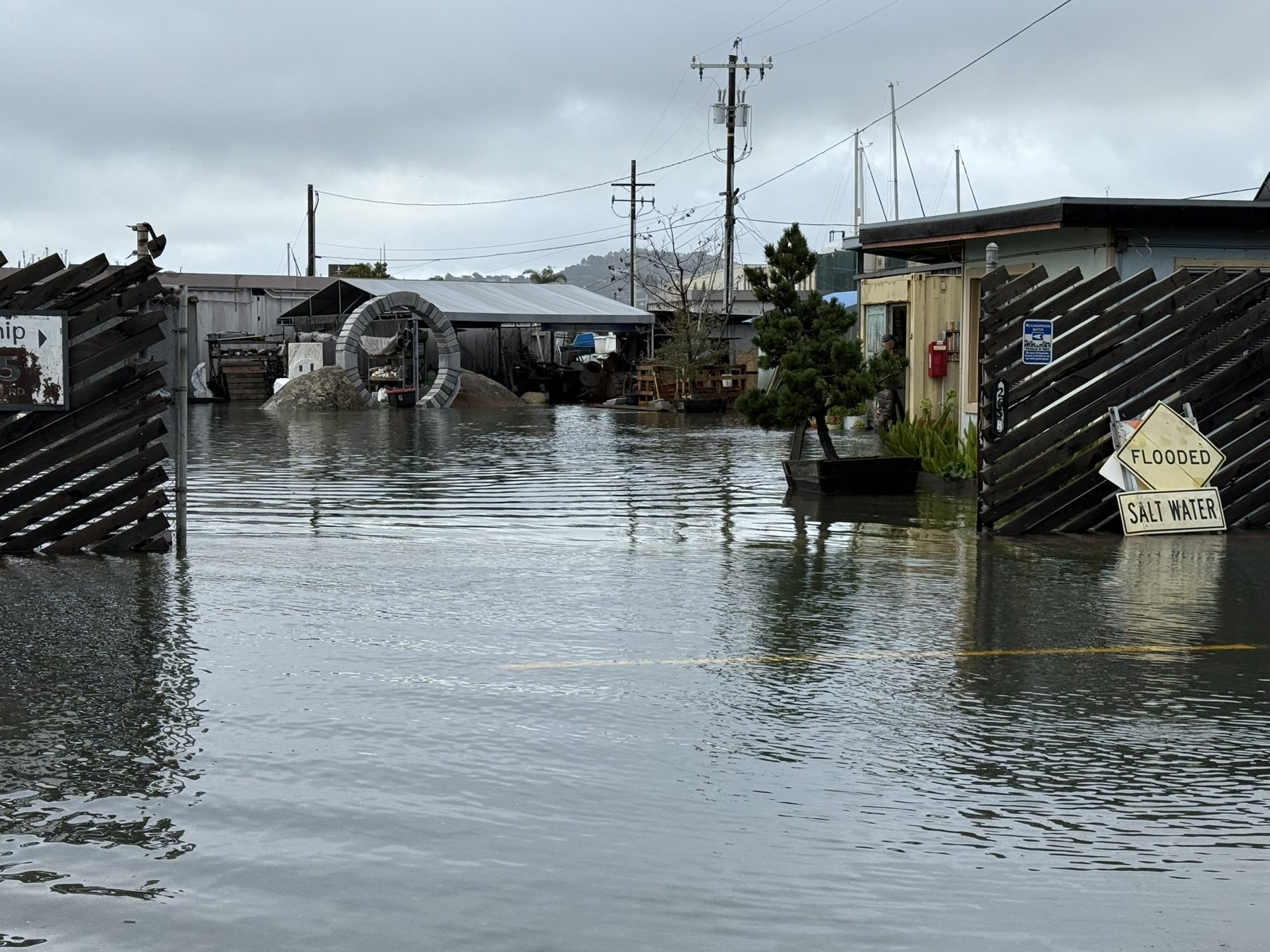 A flooded Marinship lot under grey skies, with a yellow FLOODED / SALT WATER road sign standing in the water beside a wooden fence